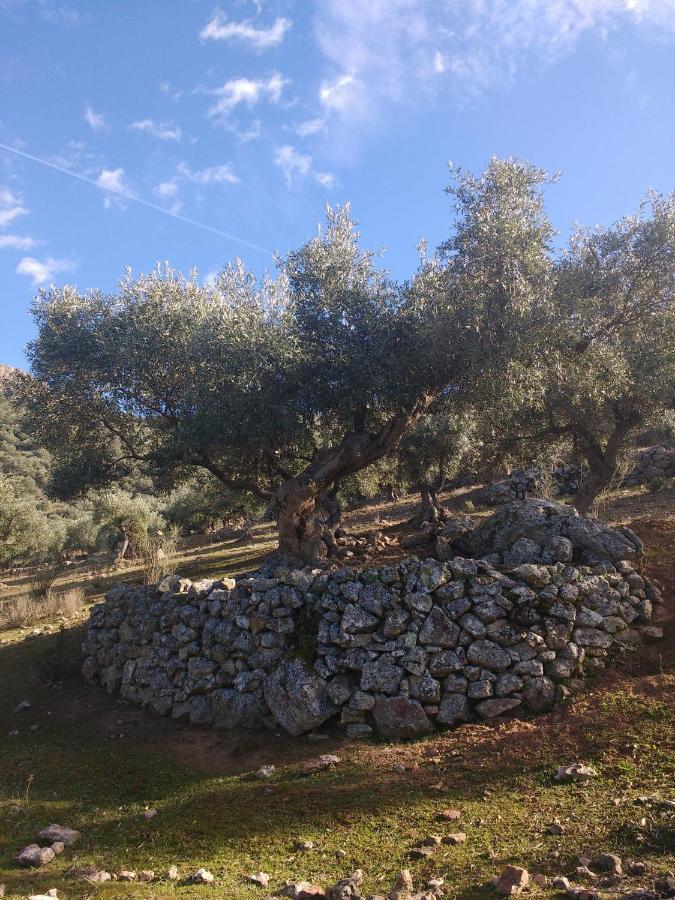 Casa Relojero Βίλα Zarza-Capilla Εξωτερικό φωτογραφία